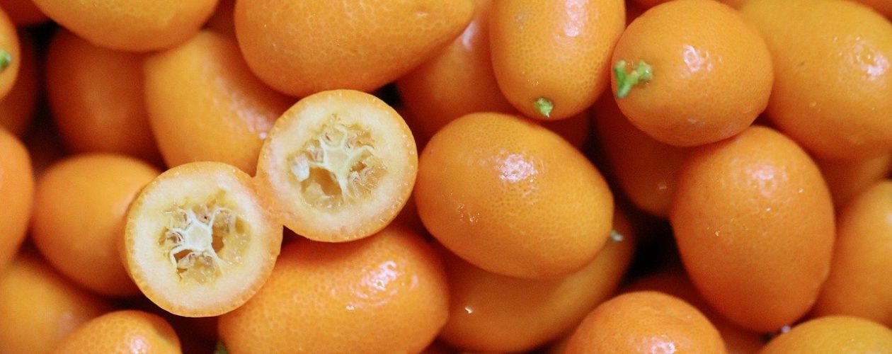 Co je to Kumquat a jaké je jeho využití?