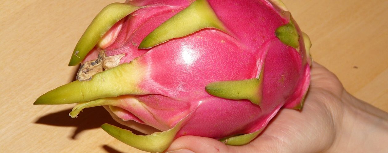 Co to je Pitahaya (dračí ovoce) a jaké je její využití?